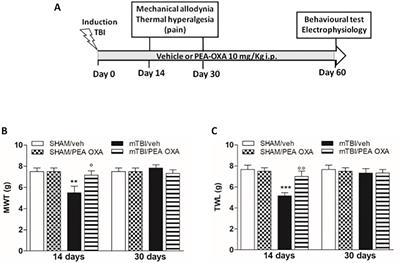 Treatment With 2-Pentadecyl-2-Oxazoline Restores Mild Traumatic Brain Injury-Induced Sensorial and Neuropsychiatric Dysfunctions